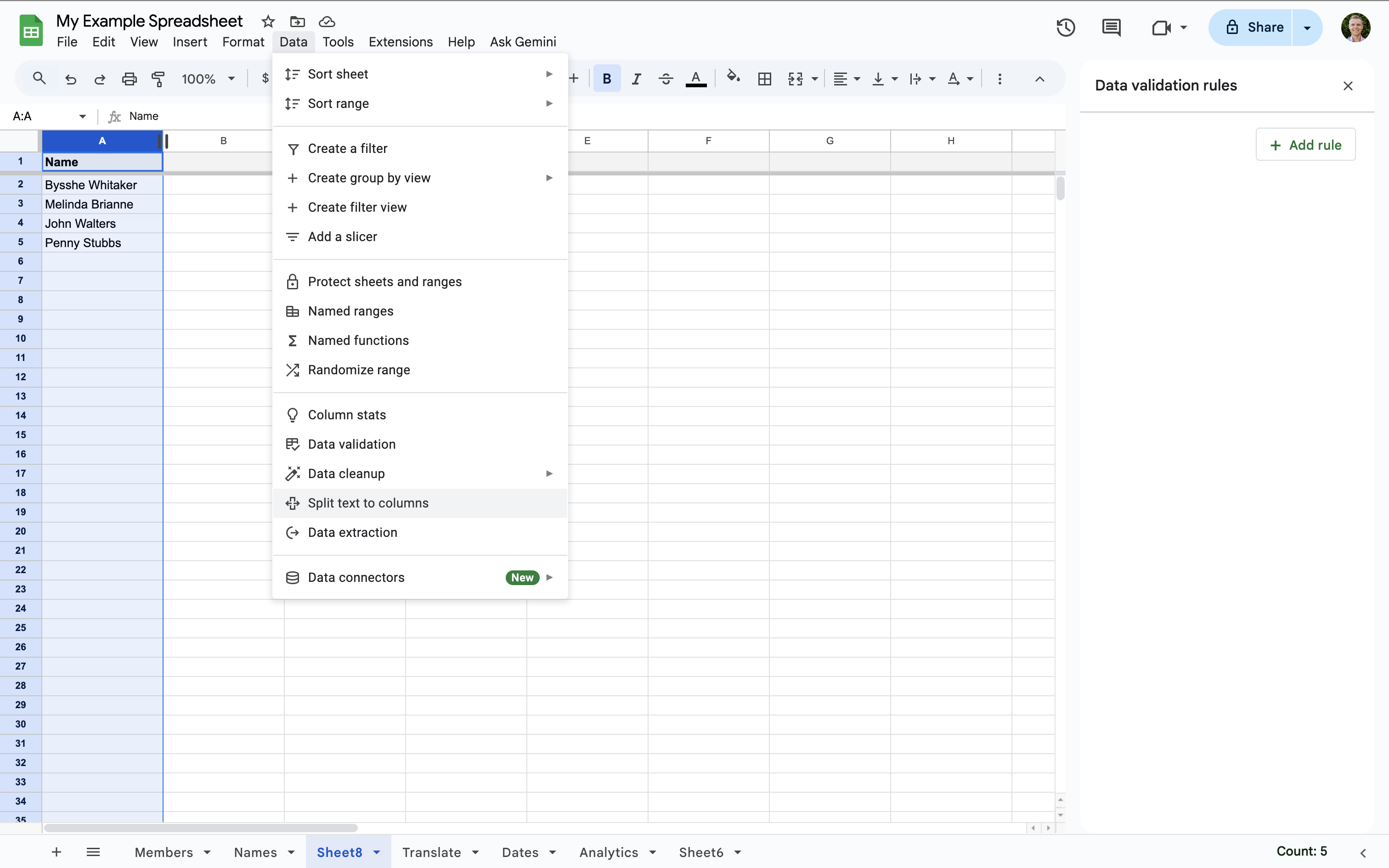 Select 'Split text to columns' to split names and other data