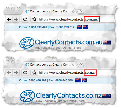 A mirrored domain is any additional domain name that a visitor can use to access