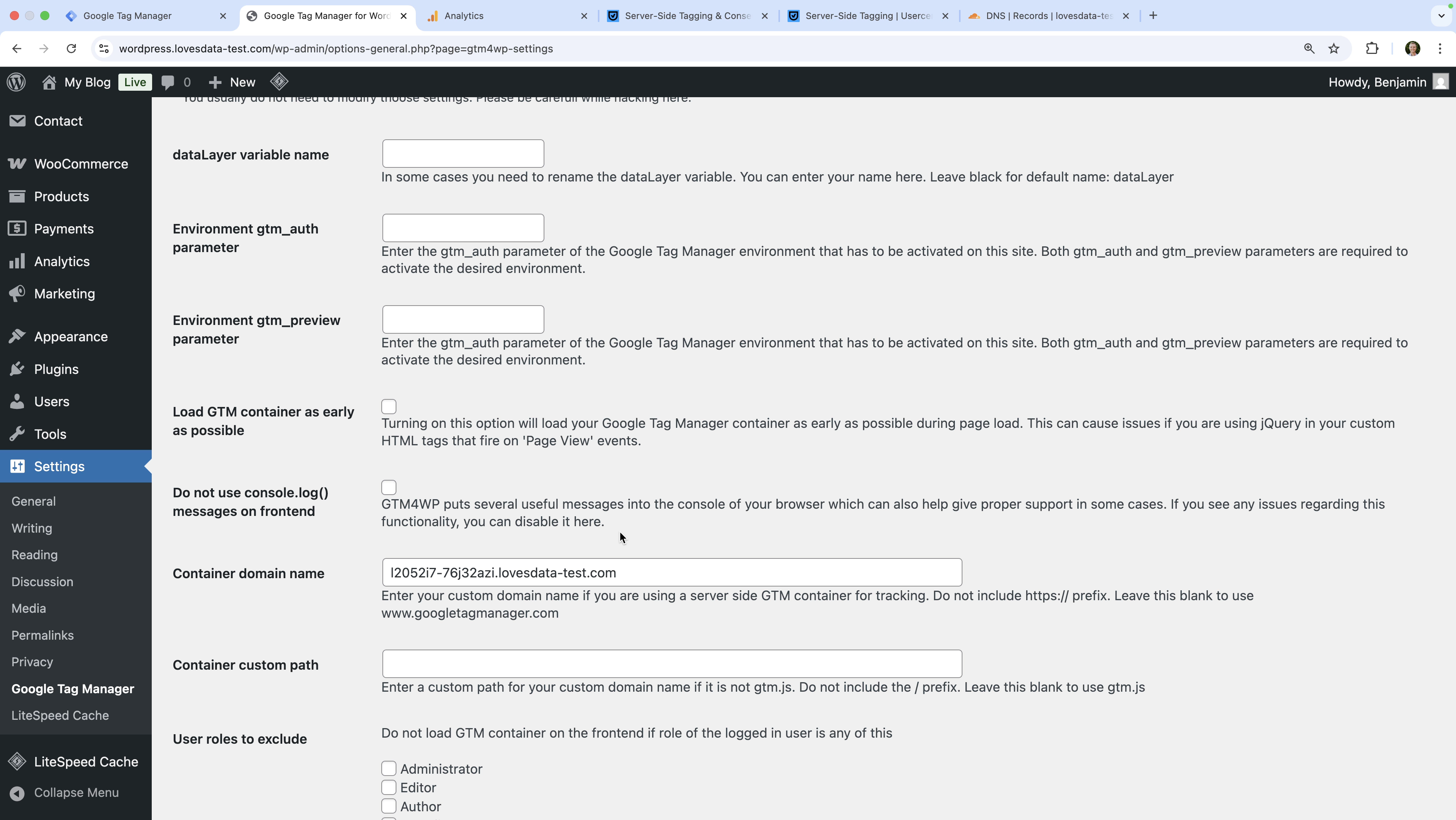 Custom container domain configured in the GTM4WP plugin