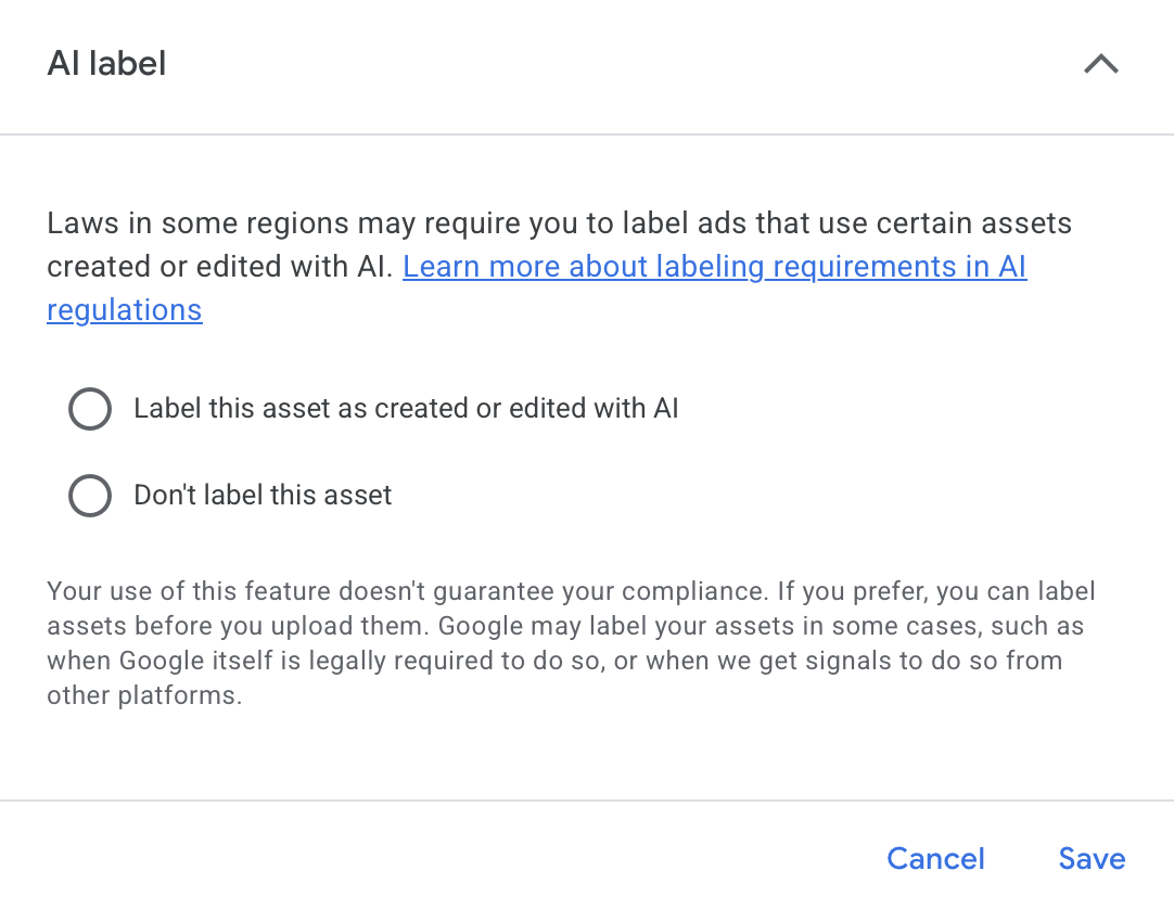 AI label setting in Google Ads showing both options deselected